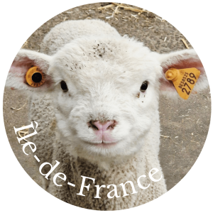 Ile de France