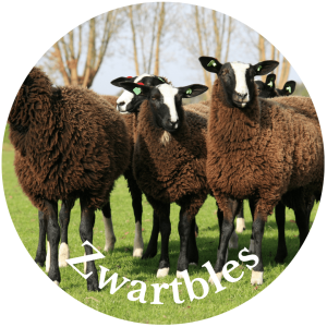 Zwartbles