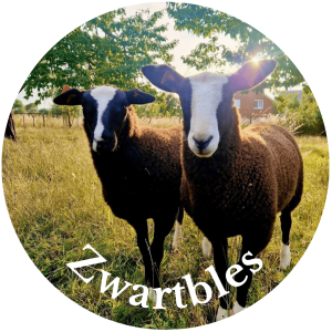 Zwartbles